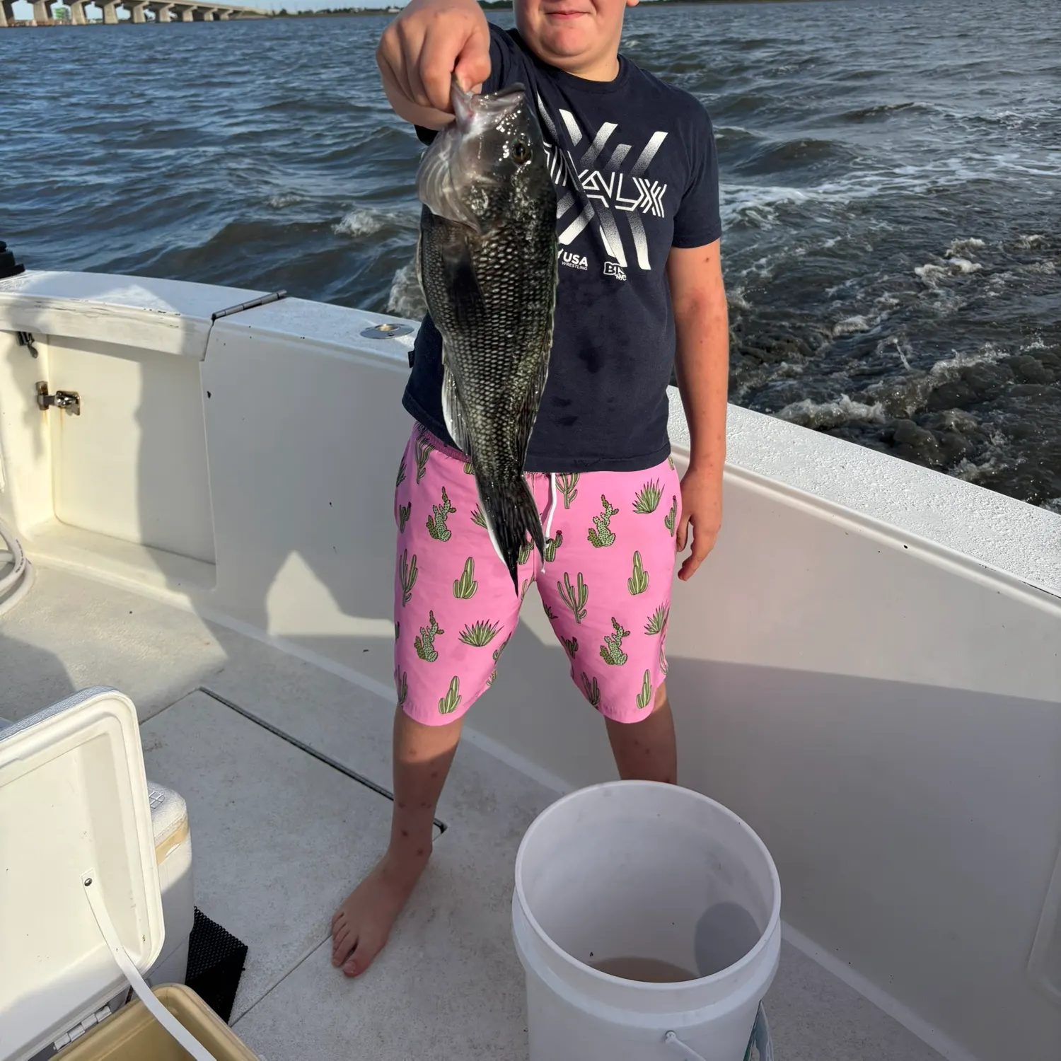 Black sea bass caught on Fishbrain