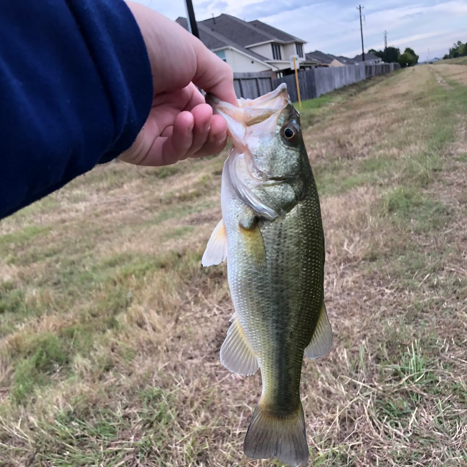 angler catch