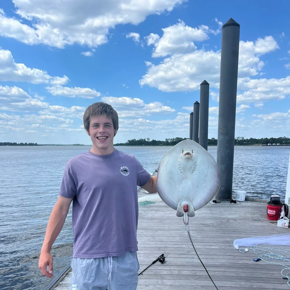 The most recent Southern stingray catches on Fishbrain
