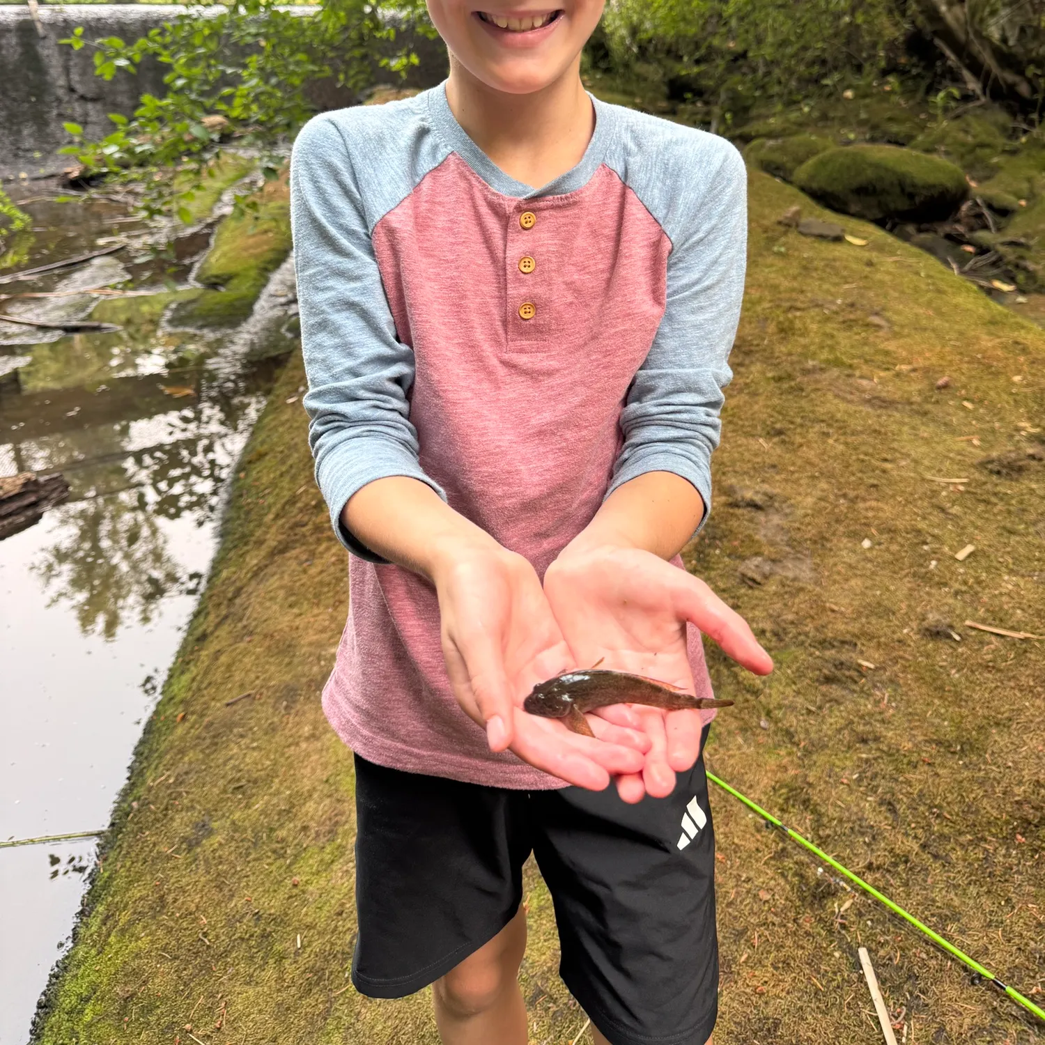 The most recent Prickly sculpin catches on Fishbrain