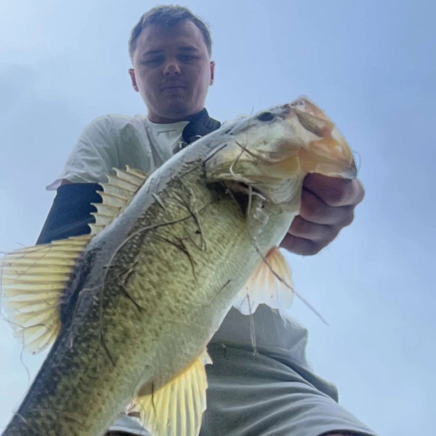 angler catch