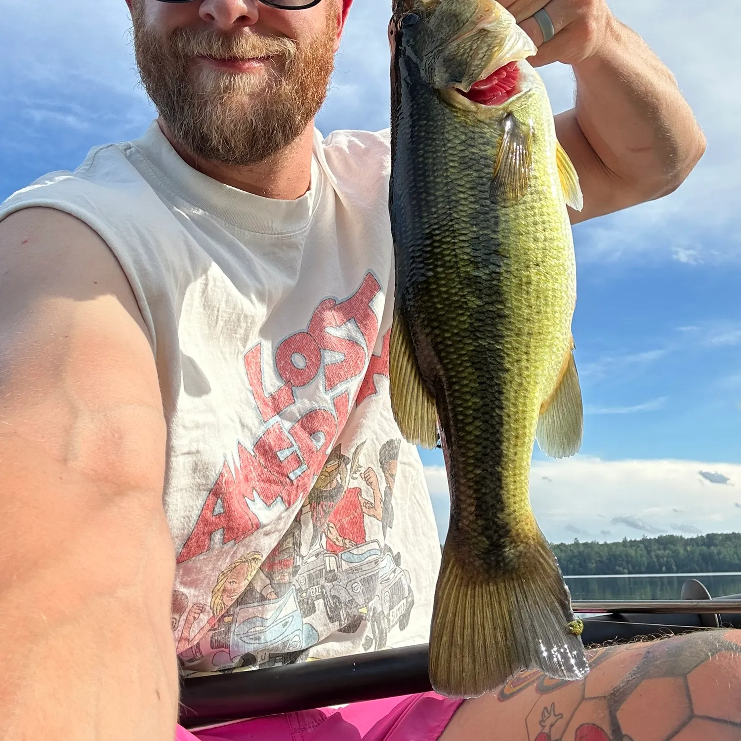 Largemouth bass caught on Fishbrain
