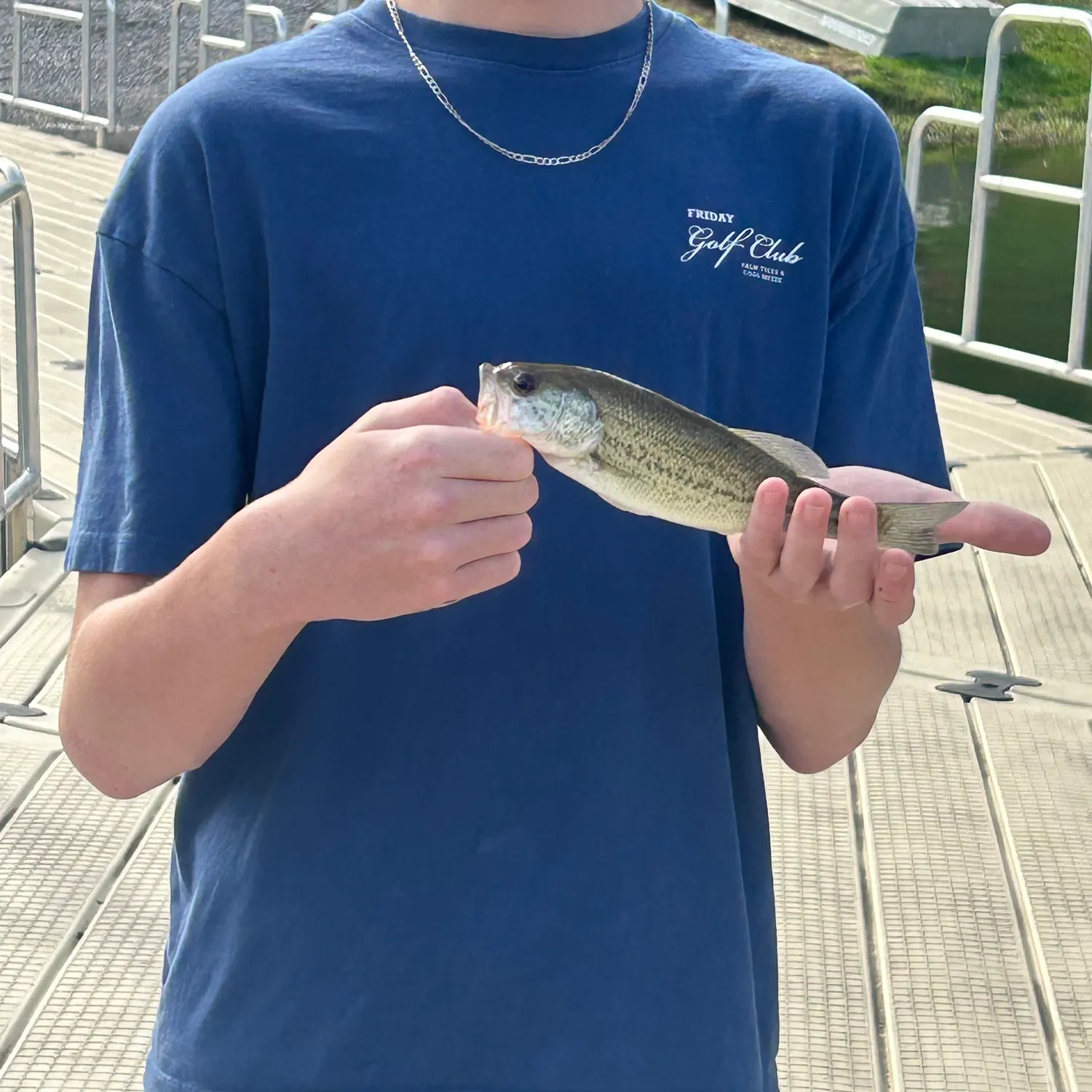 Fish caught on Fishbrain