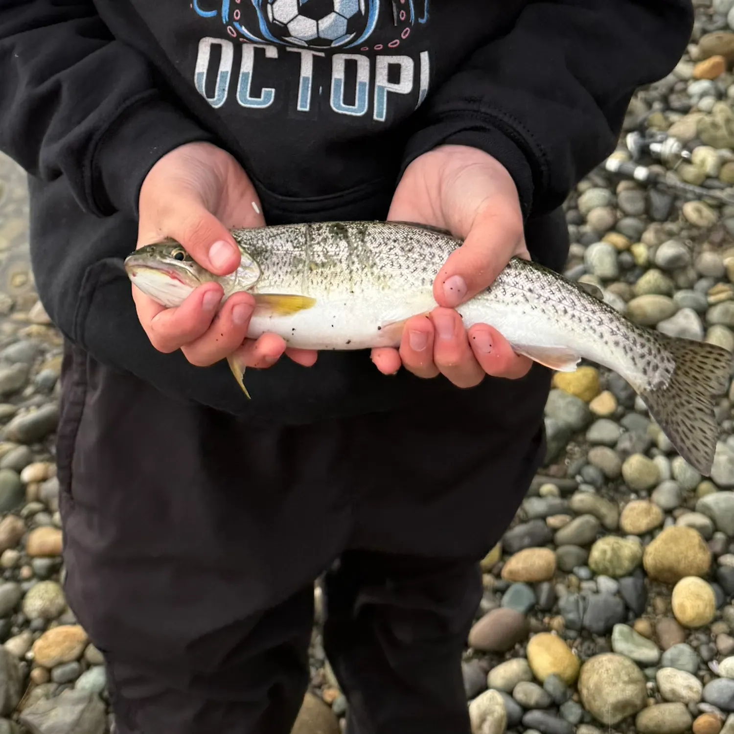 The most recent Coastal cutthroat trout catches on Fishbrain