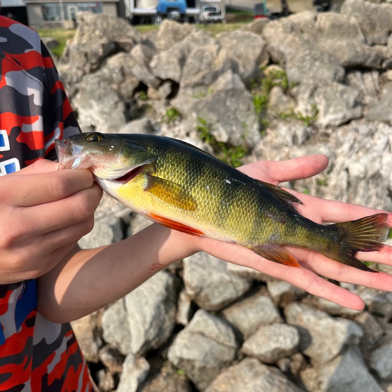 catch