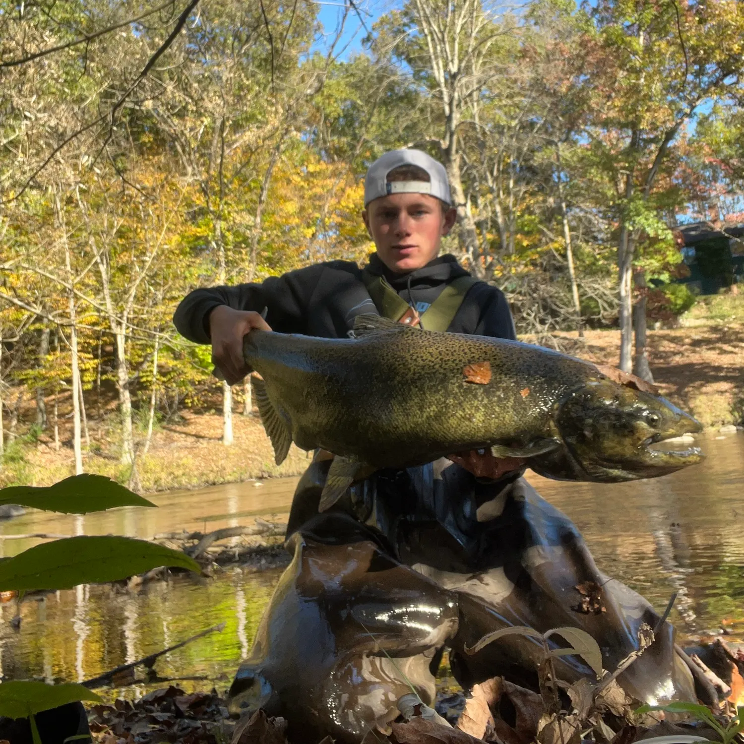 Chinook salmon caught on Fishbrain