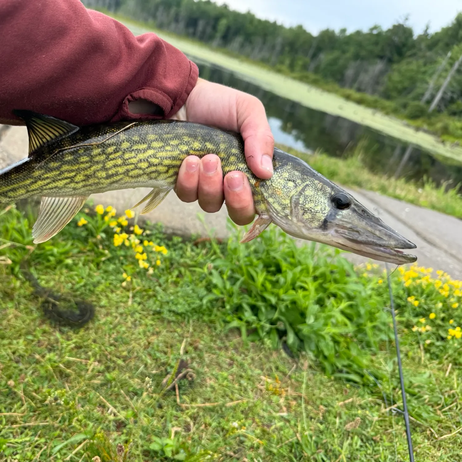 catch