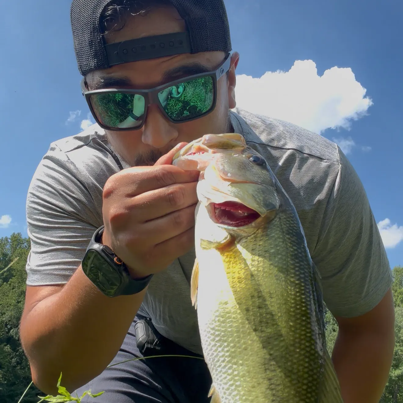 catch