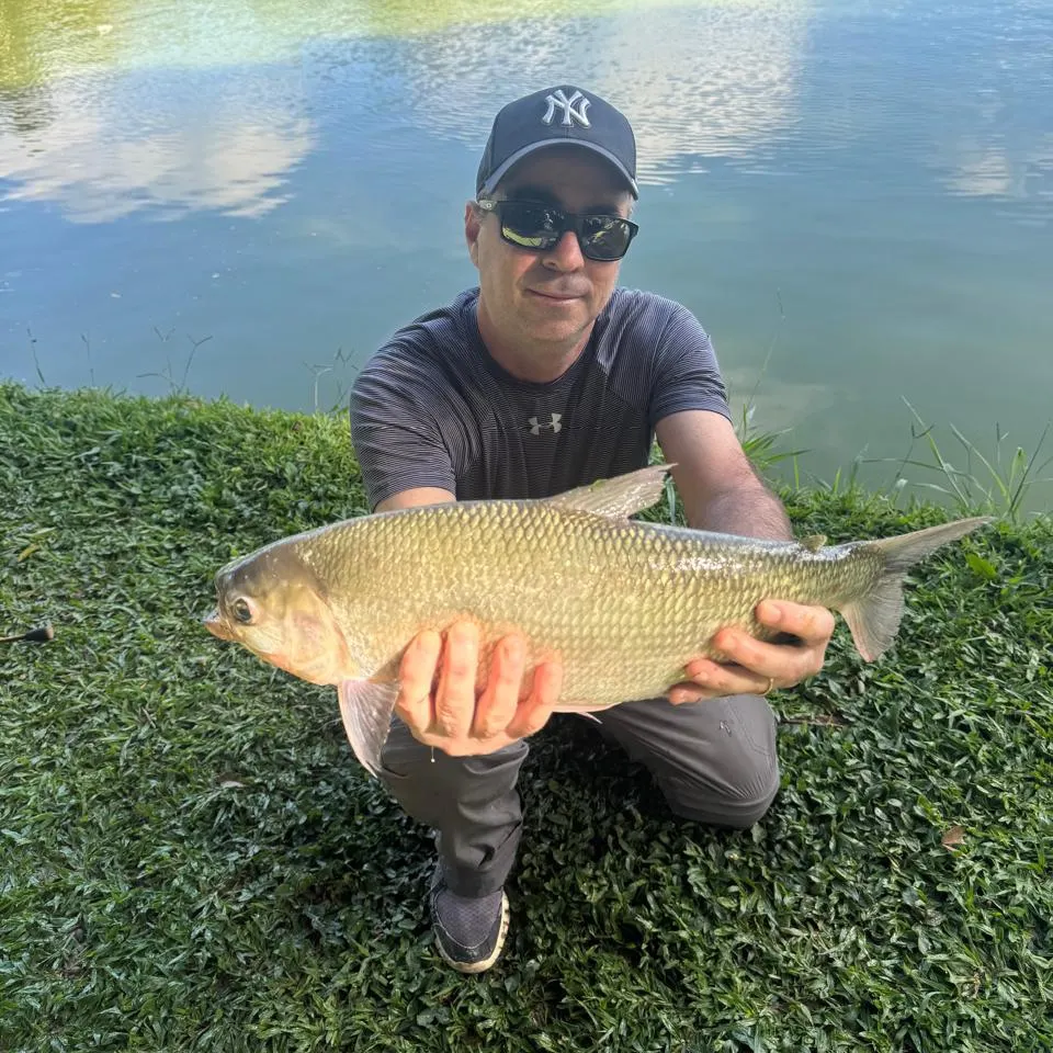 The most recent Matrichan catches on Fishbrain