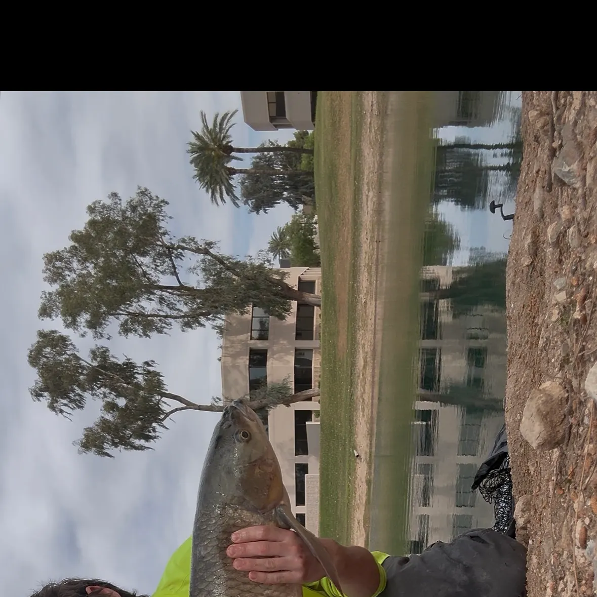 The most recent Grass carp catches on Fishbrain