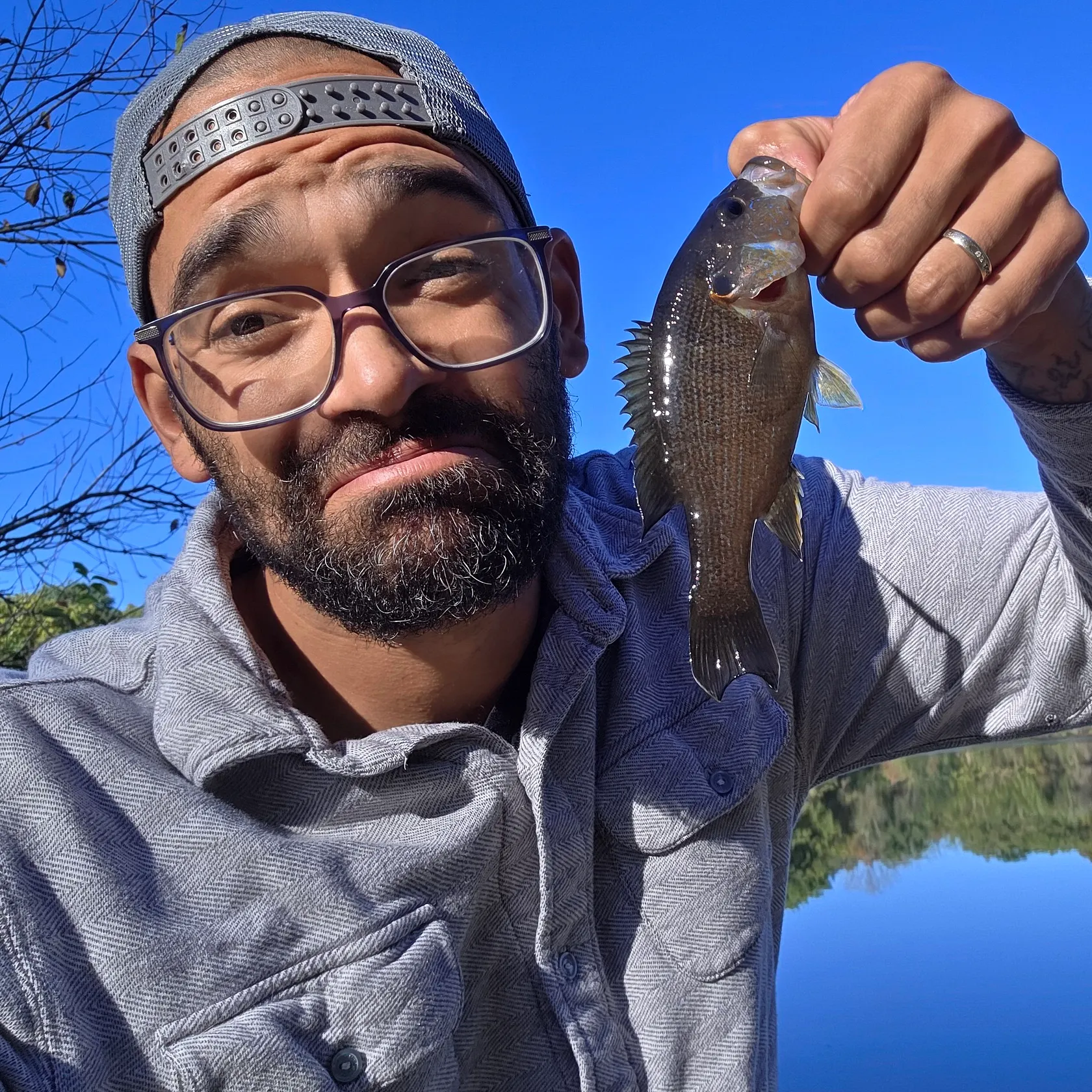 Green sunfish caught on Fishbrain