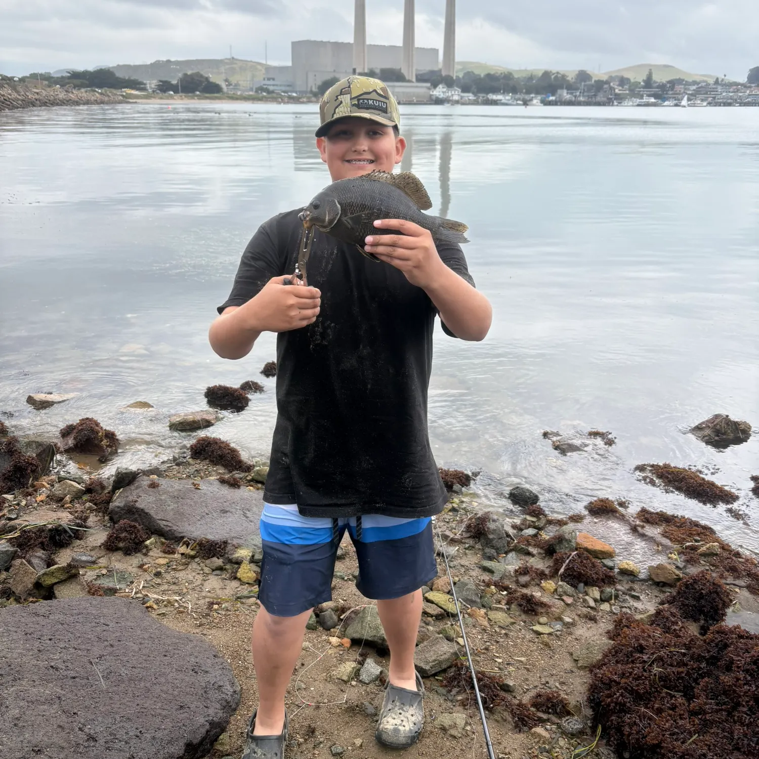 The most recent Black perch catches on Fishbrain