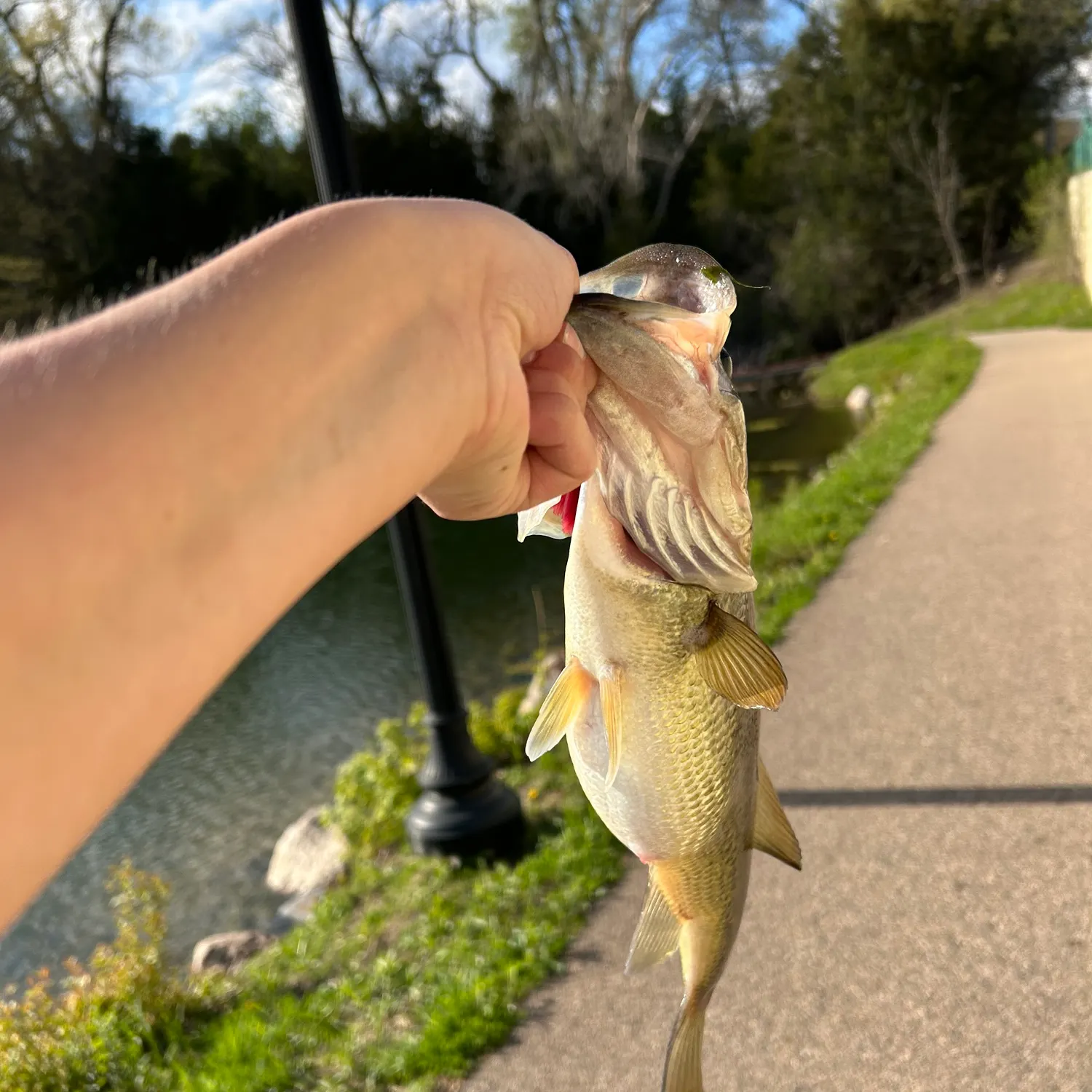 catch