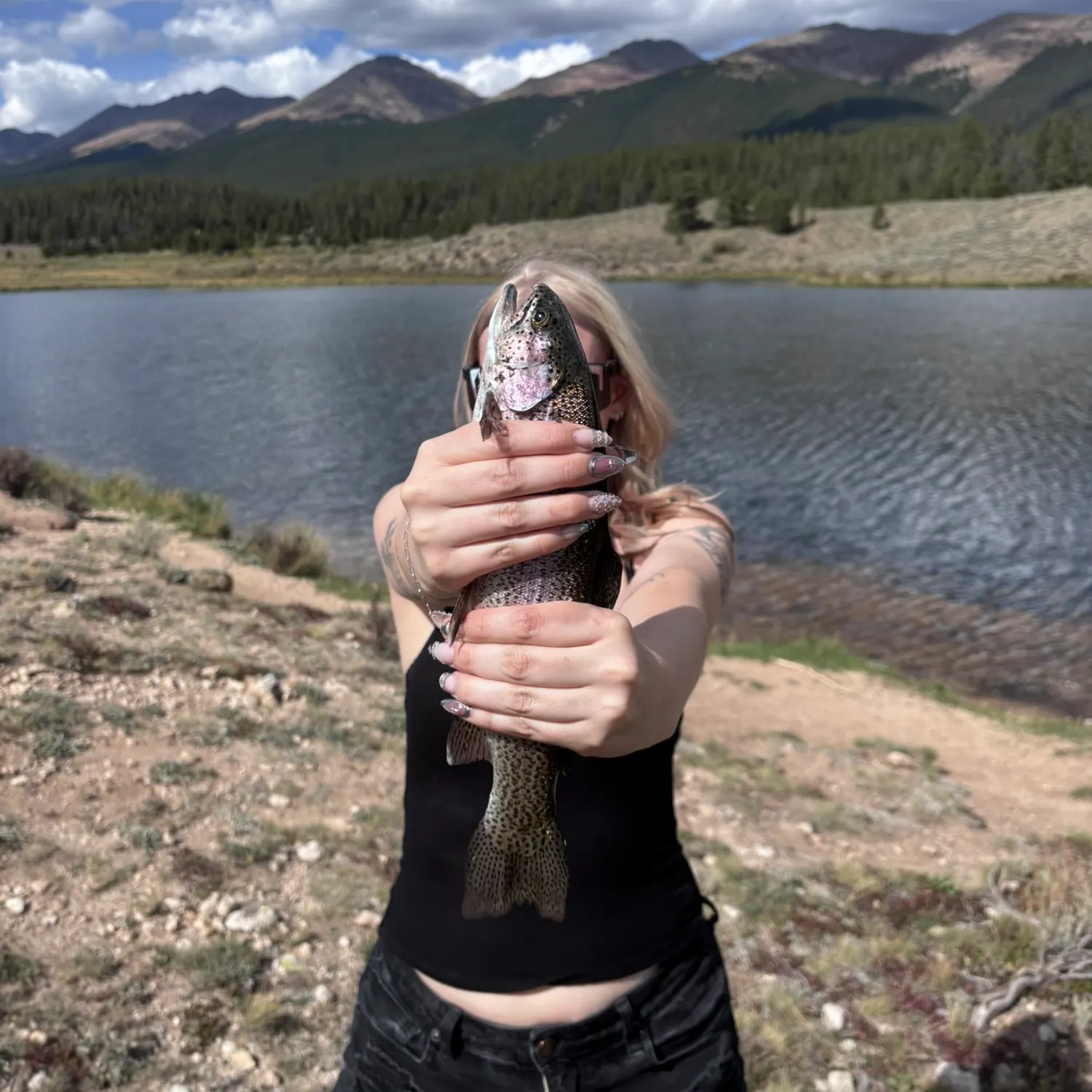 Rainbow trout caught on Fishbrain