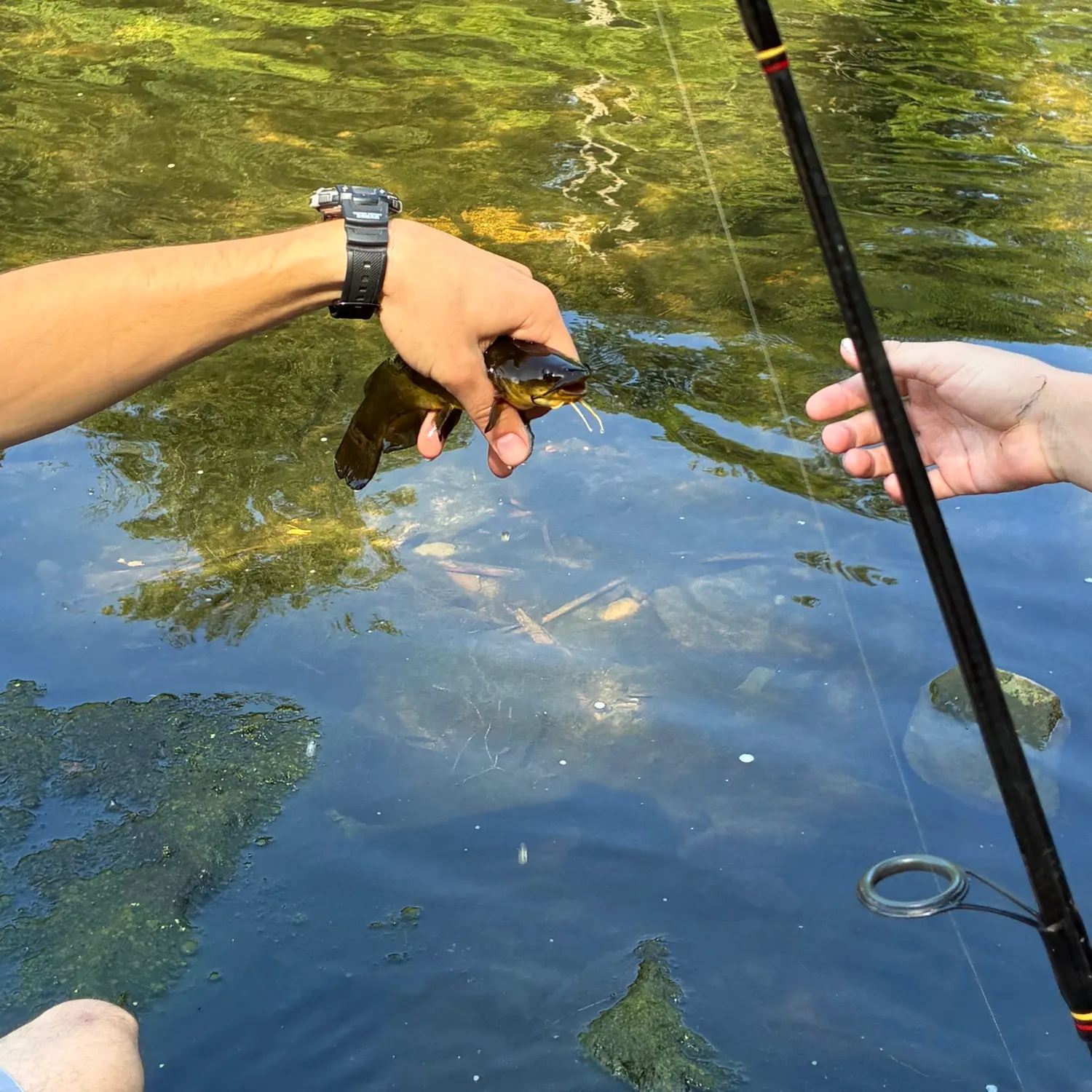 catch