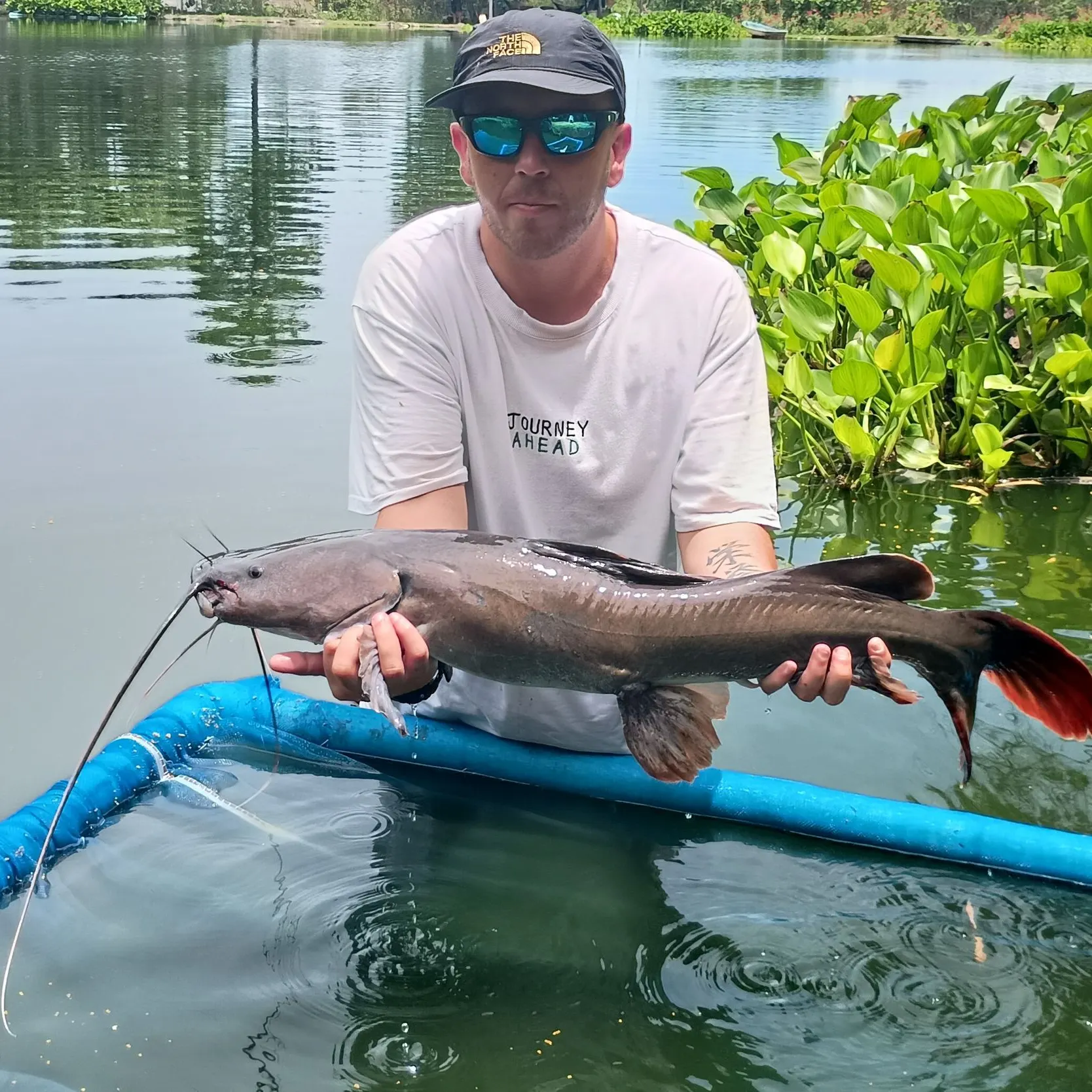 The most recent Asian redtail catfish catches on Fishbrain