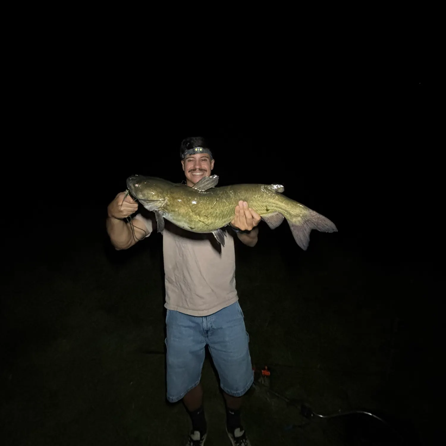 Channel catfish caught on Fishbrain