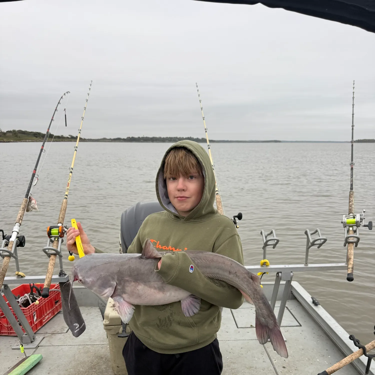 Blue catfish caught on Fishbrain
