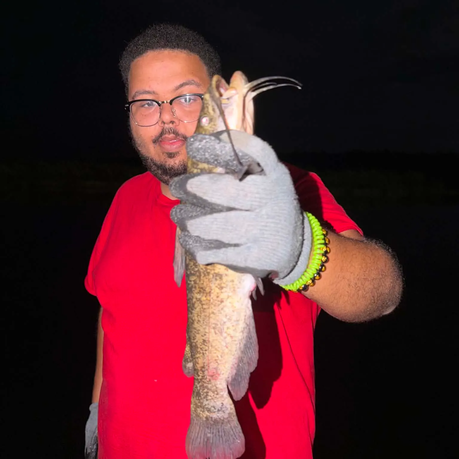 Brown bullhead caught on Fishbrain