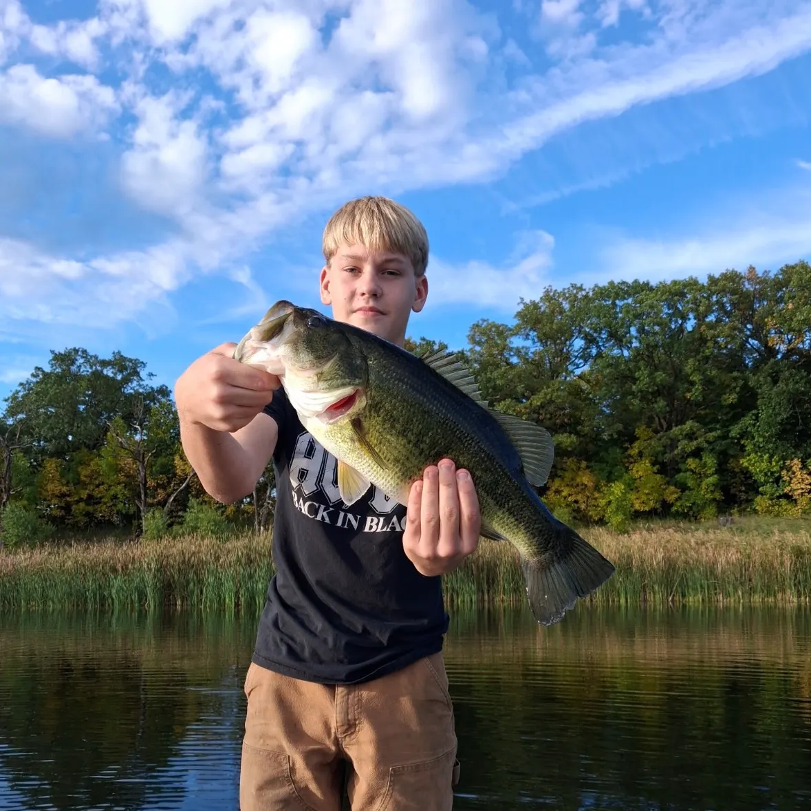 Largemouth bass caught on Fishbrain