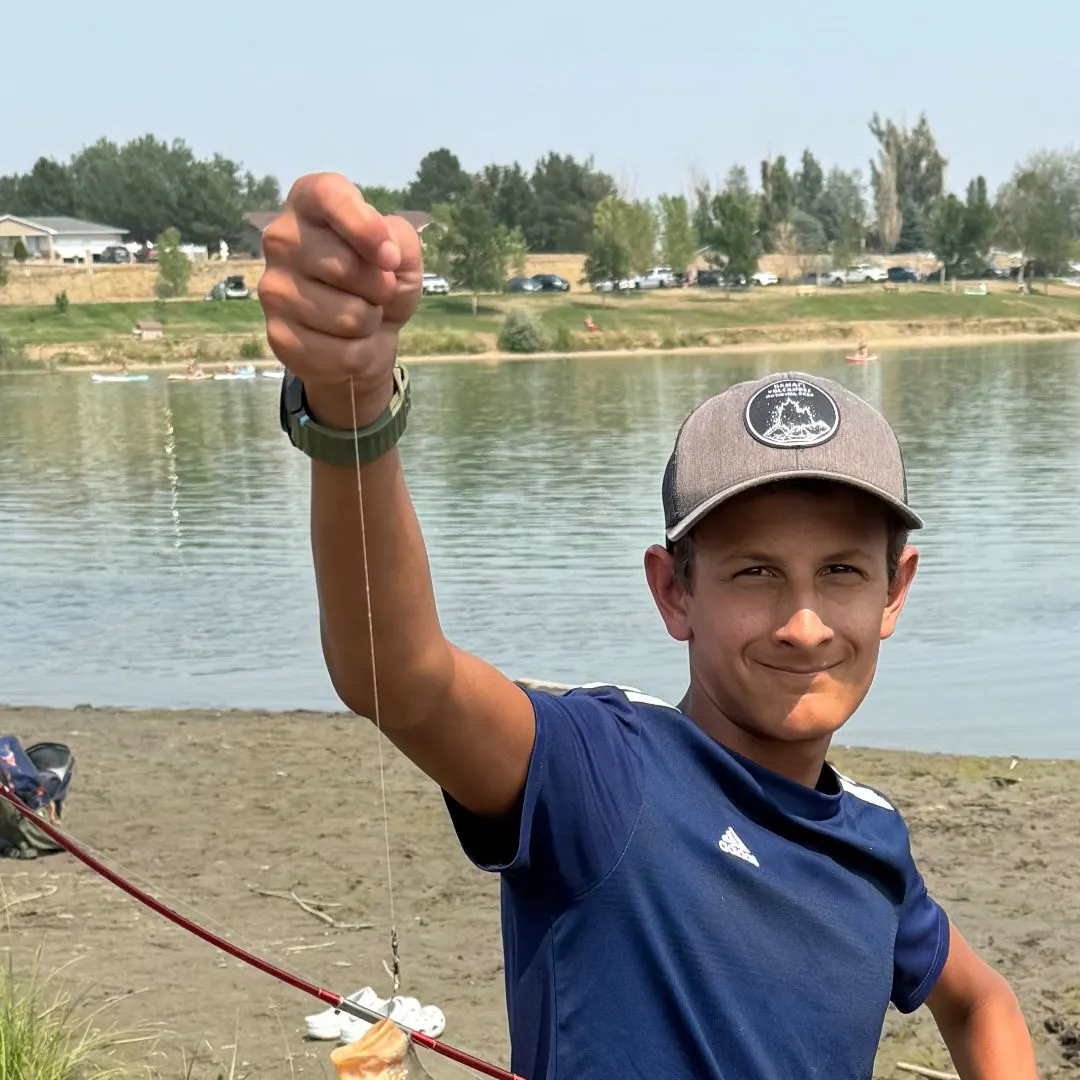 Common carp caught on Fishbrain
