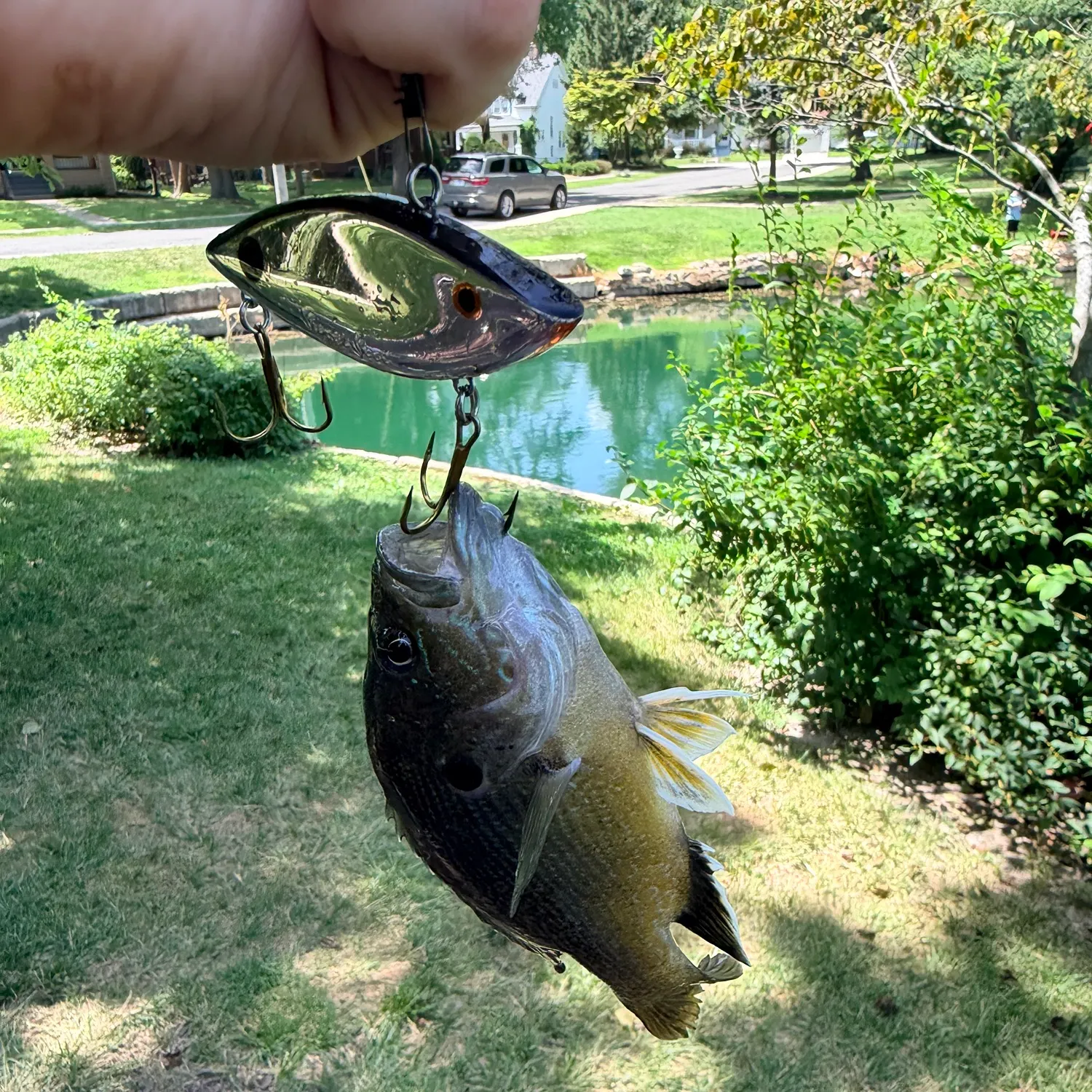 catch