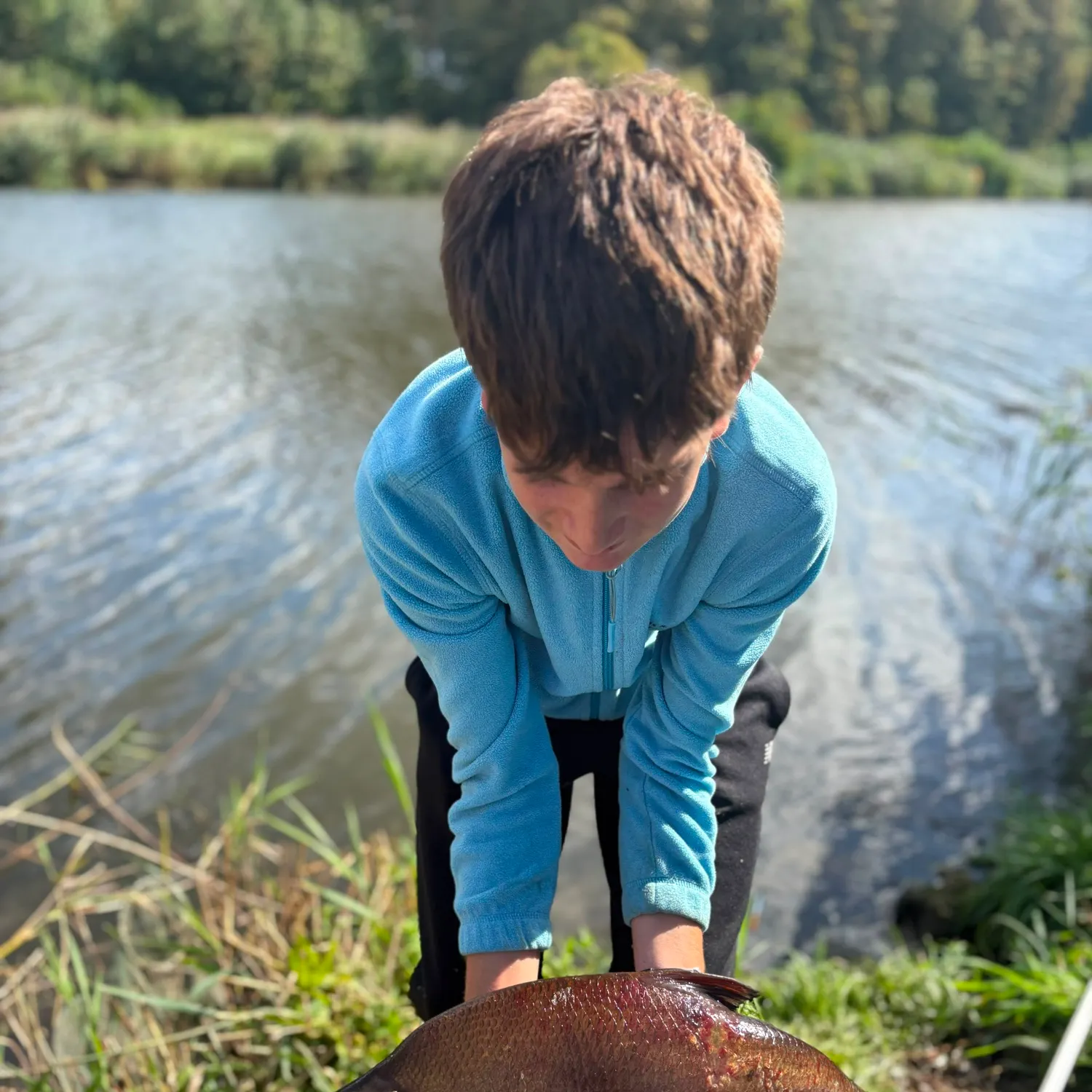 Common bream caught on Fishbrain