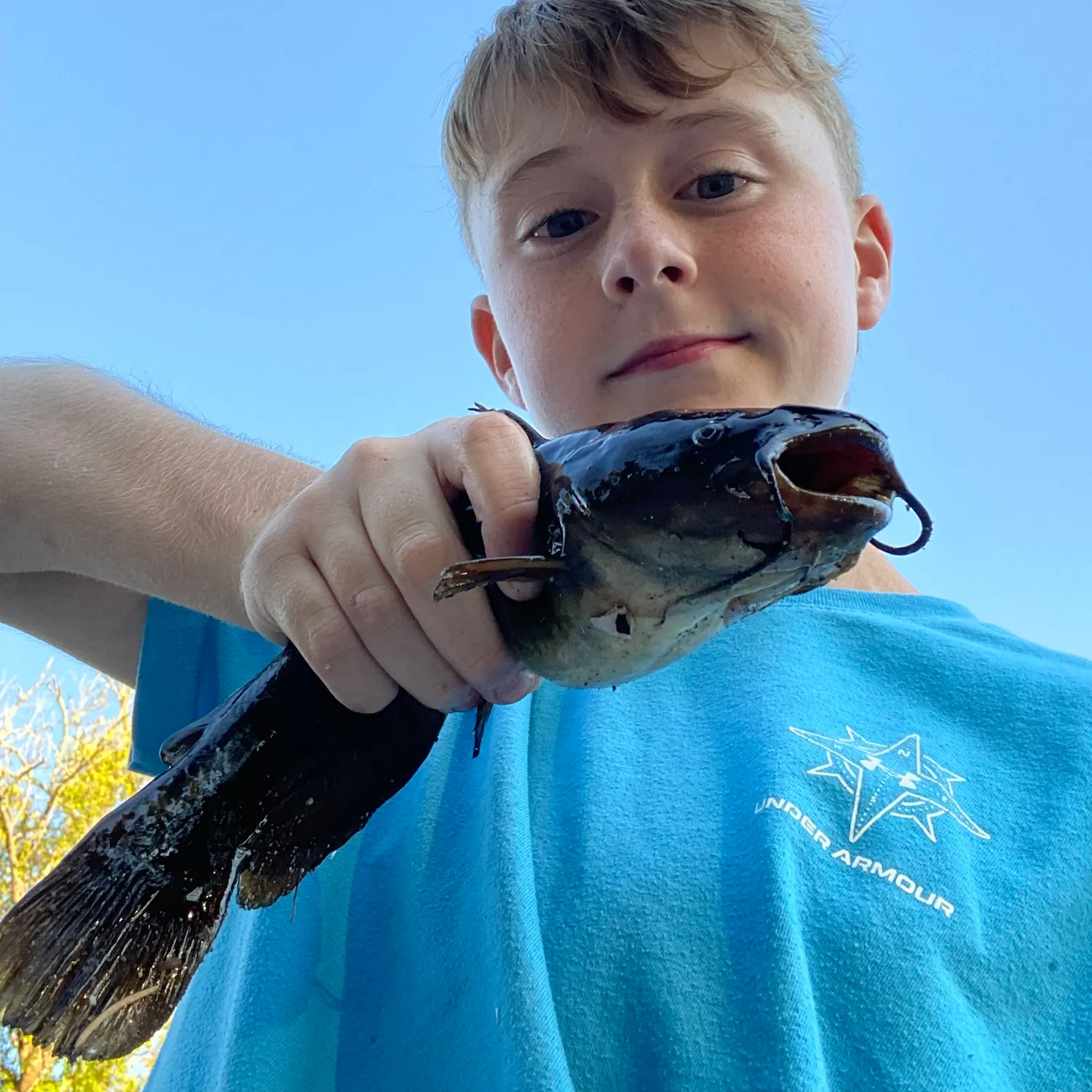 Black bullhead caught on Fishbrain