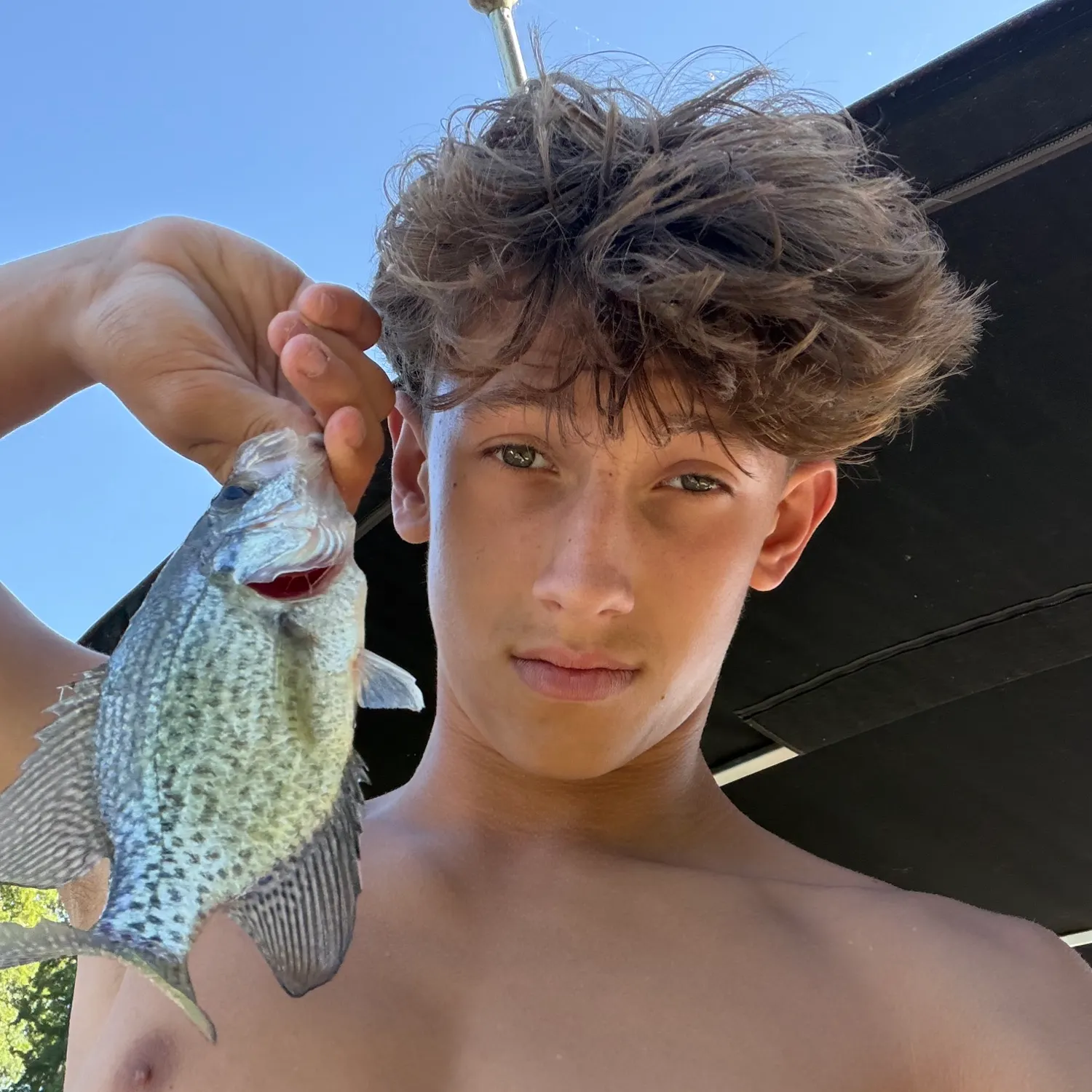 Black crappie caught on Fishbrain
