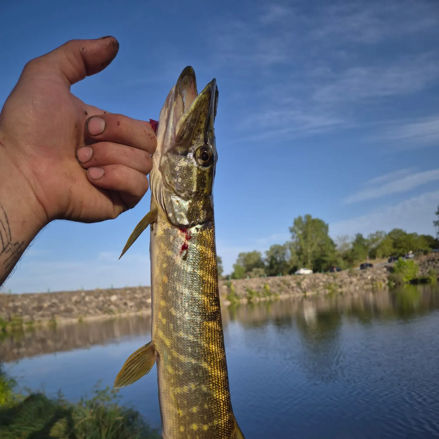 catch