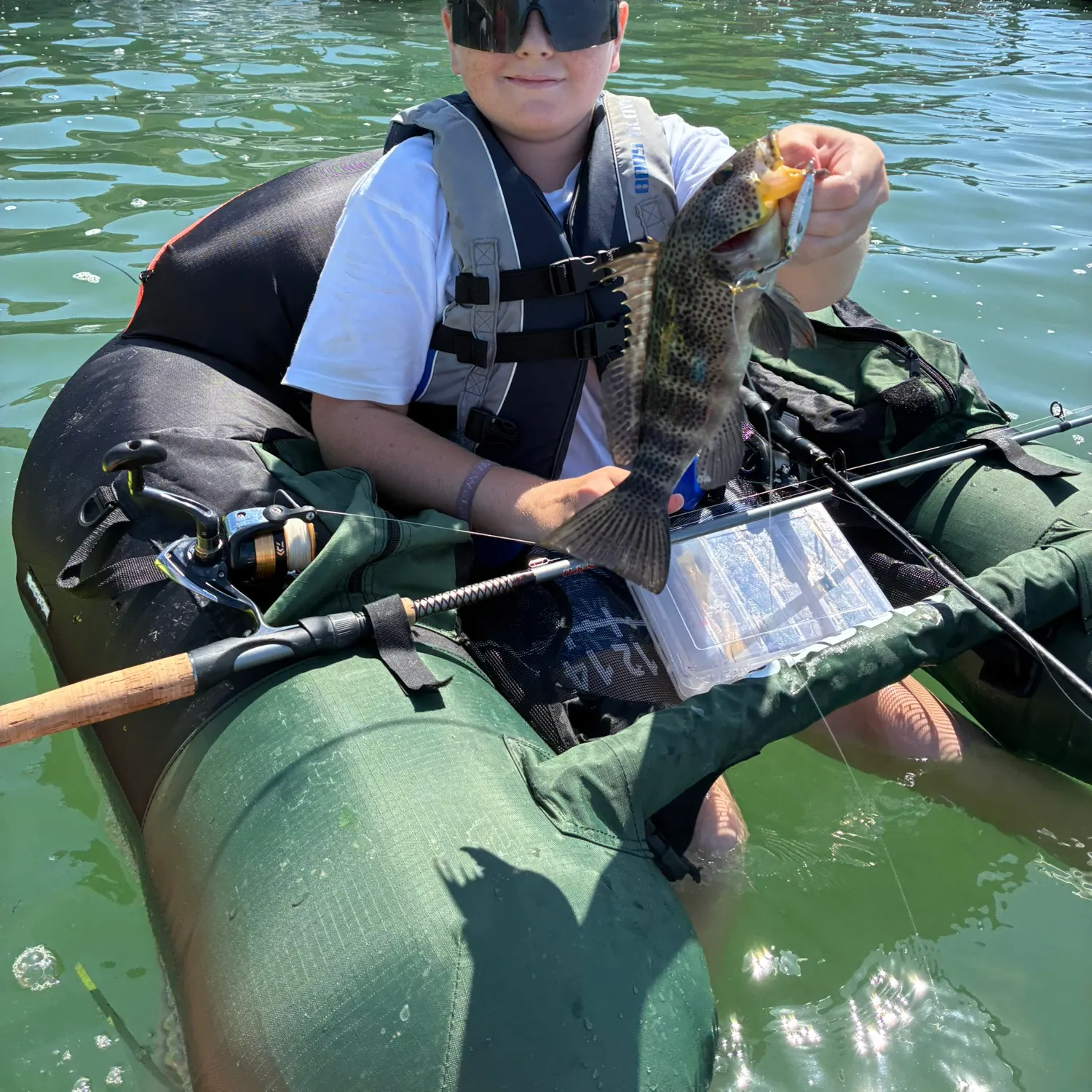 Spotted sand bass caught on Fishbrain