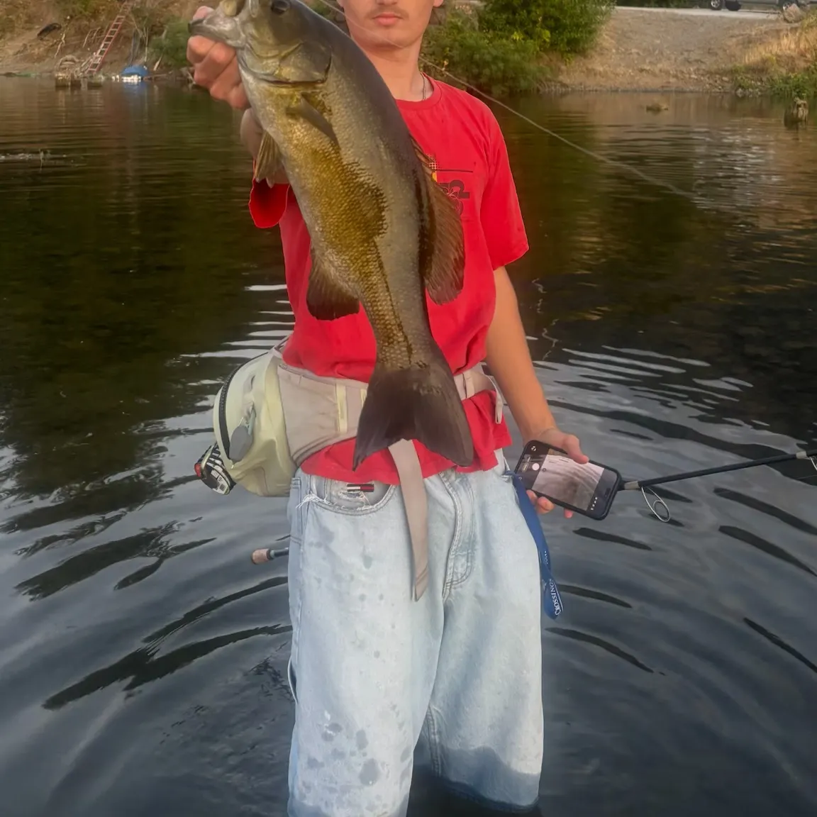 Smallmouth bass caught on Fishbrain