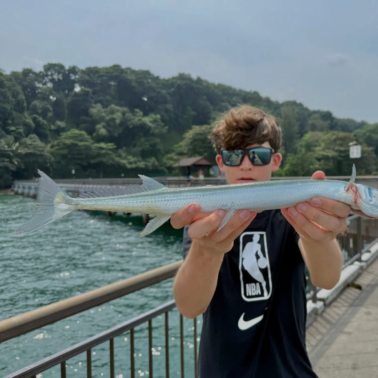 The most recent Hound needlefish catches on Fishbrain