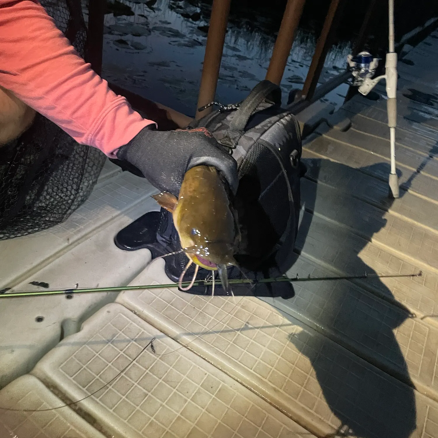 Yellow bullhead caught on Fishbrain