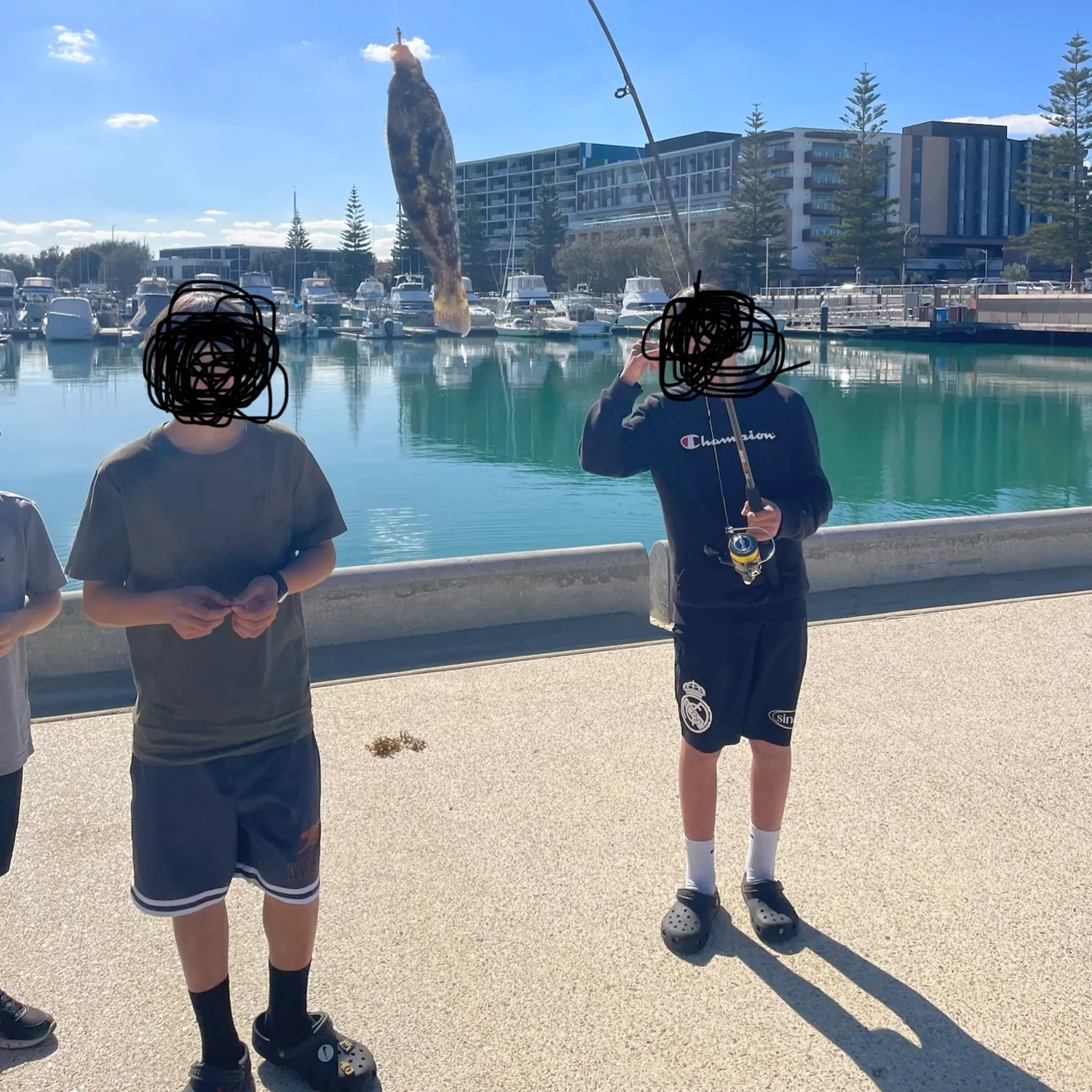 The most recent Rock wrasse catches on Fishbrain