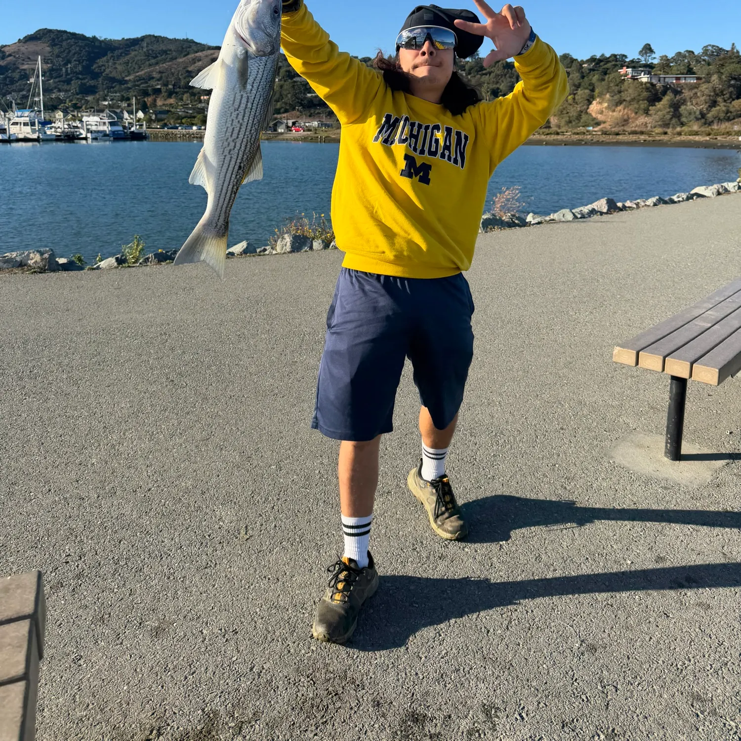 Striped bass caught on Fishbrain