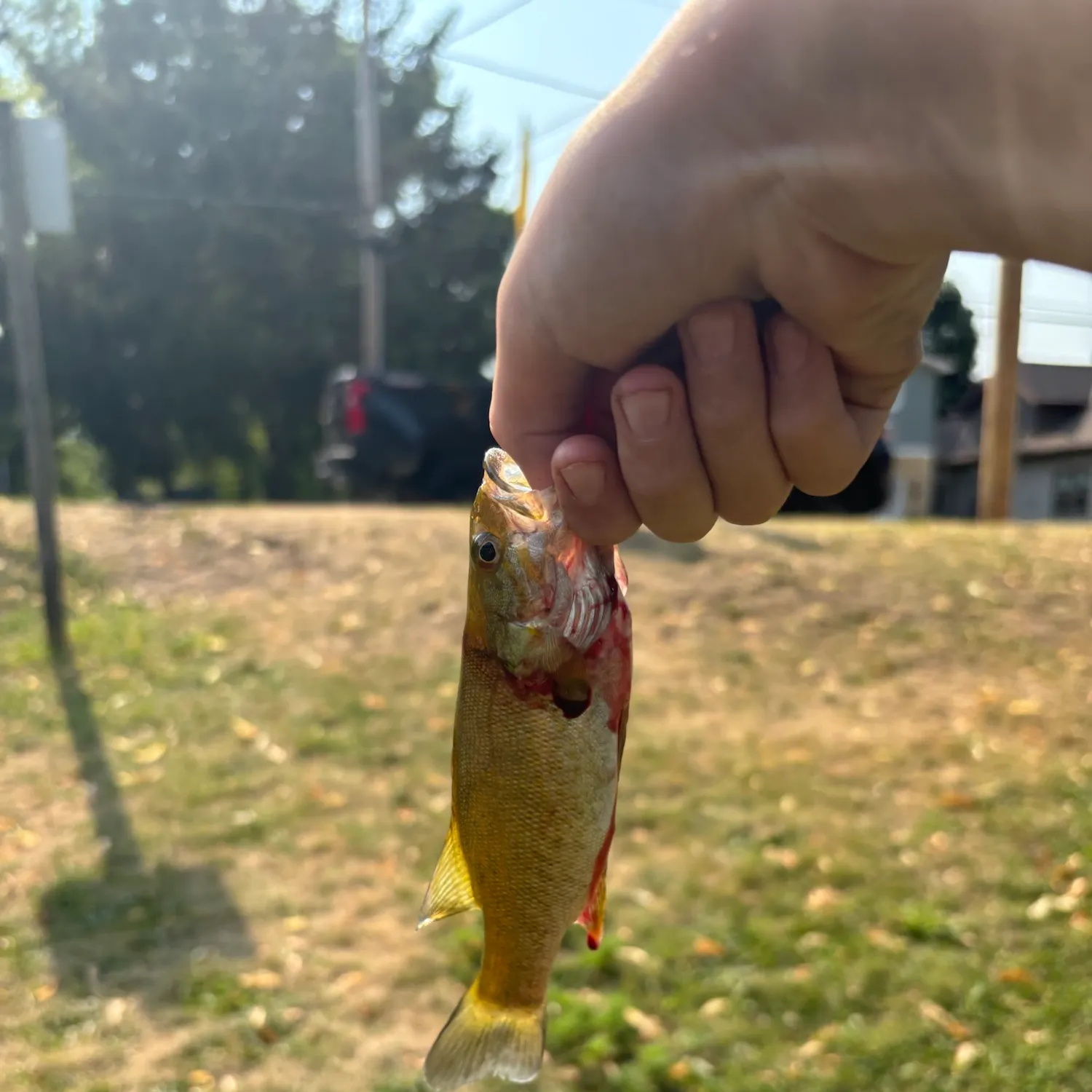 catch