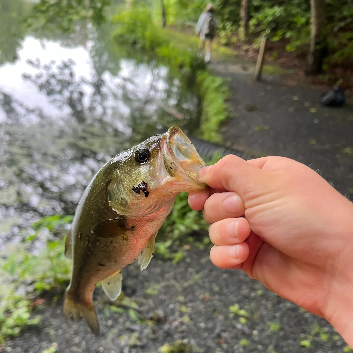 catch