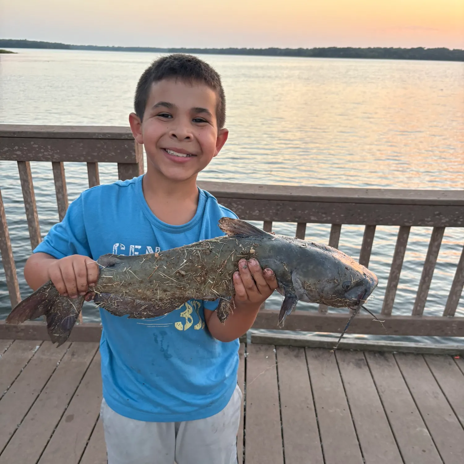 Channel catfish caught on Fishbrain
