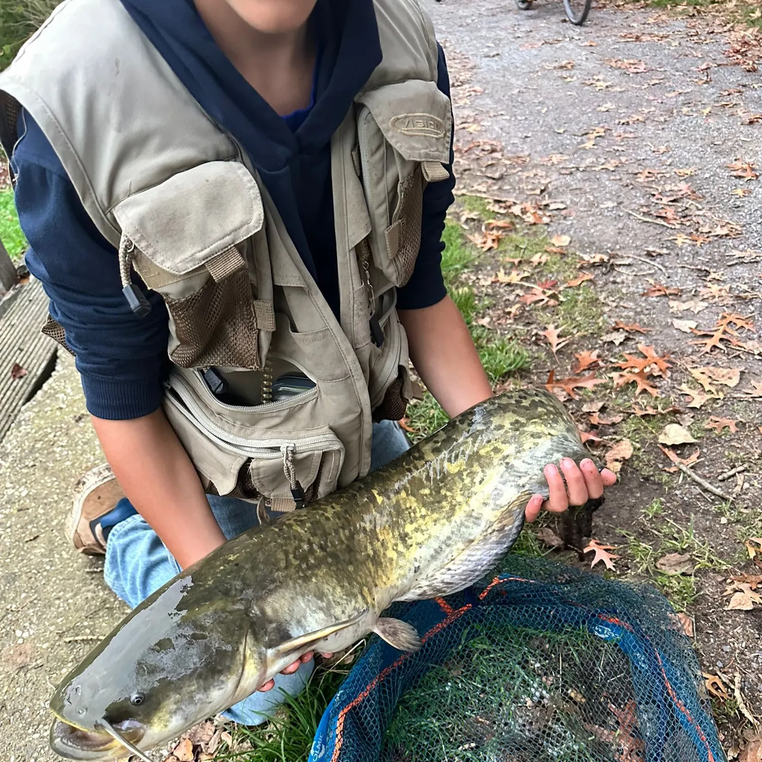 Wels catfish caught on Fishbrain