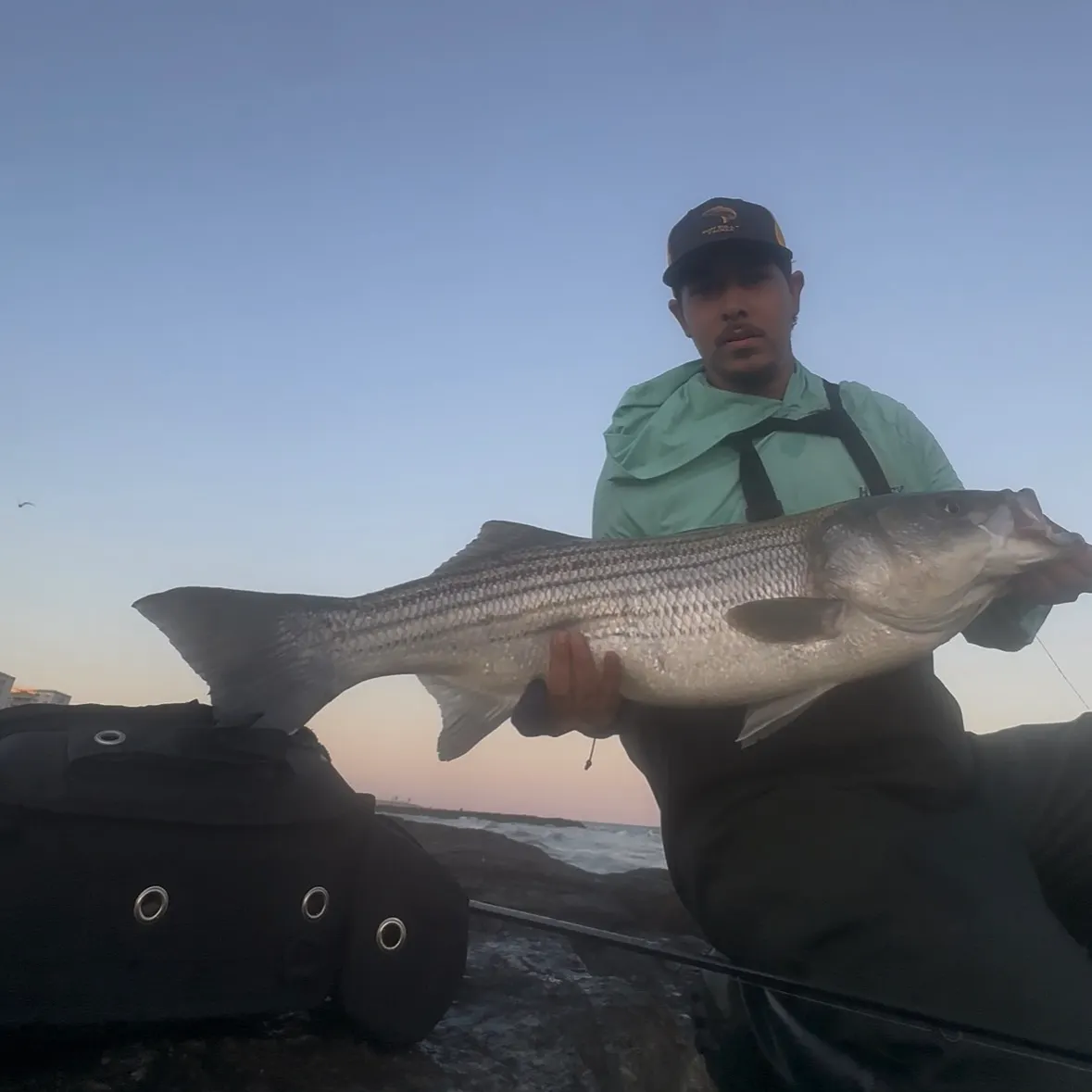 The most recent Striped bass catches on Fishbrain