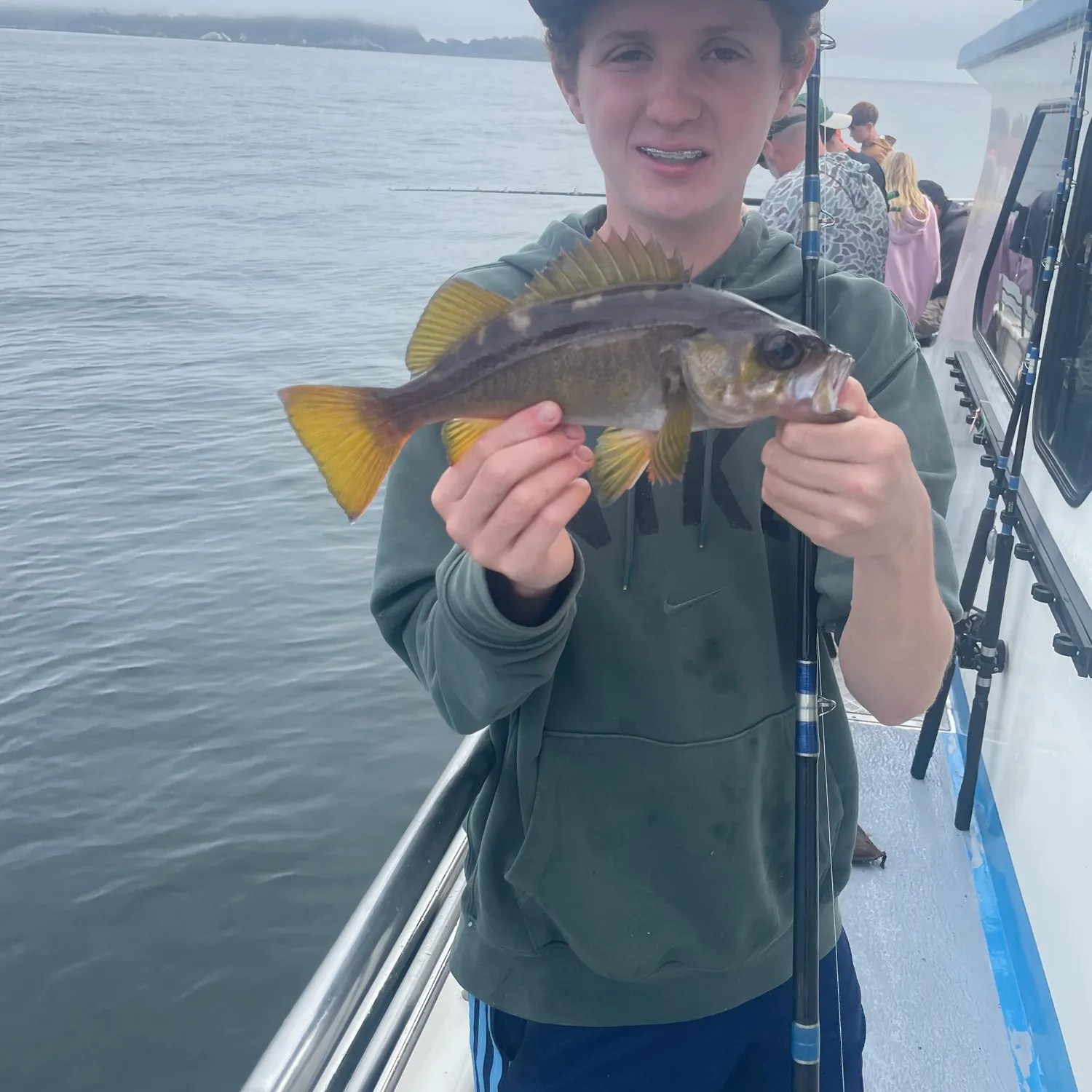 The most recent Olive rockfish catches on Fishbrain