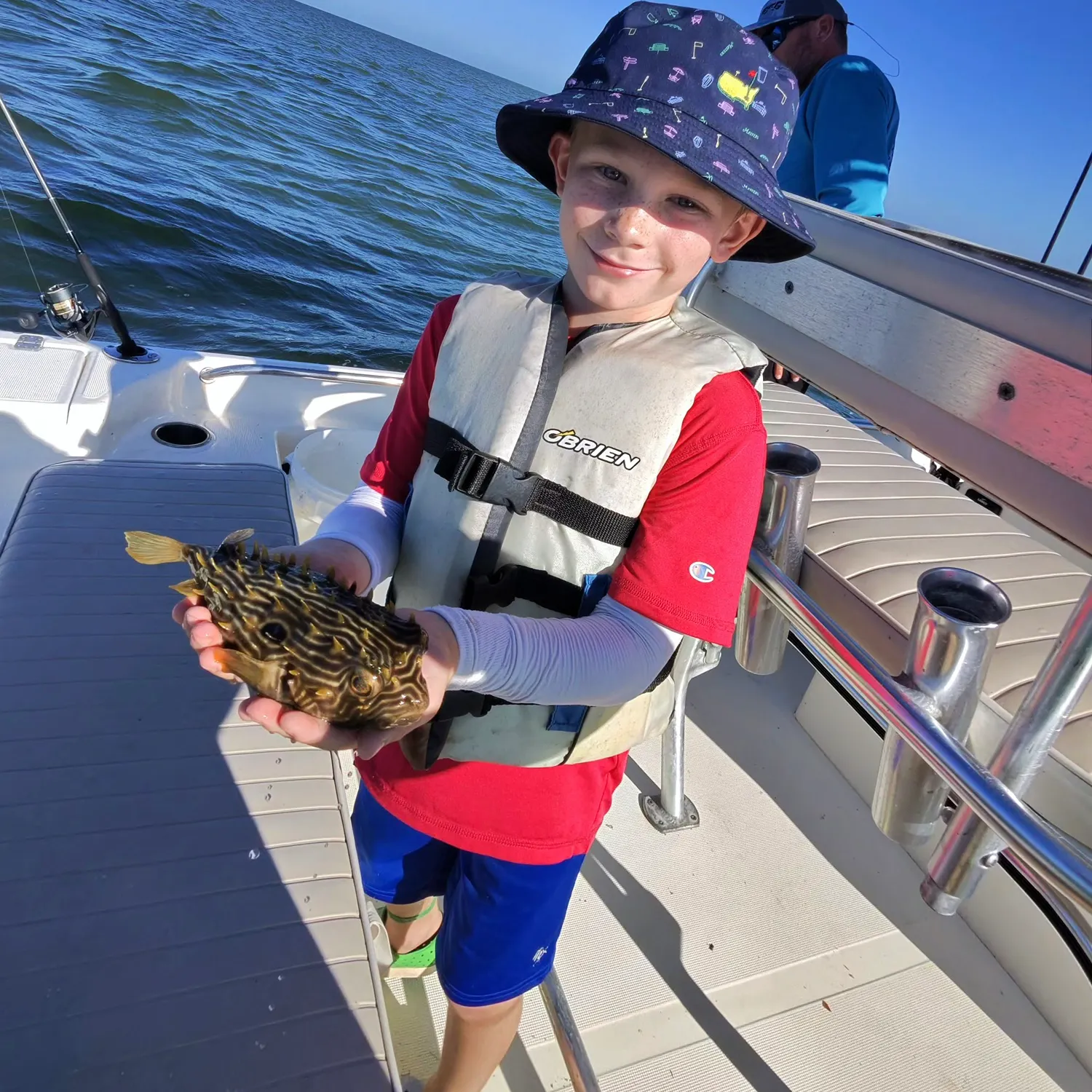 The most recent Striped burrfish catches on Fishbrain