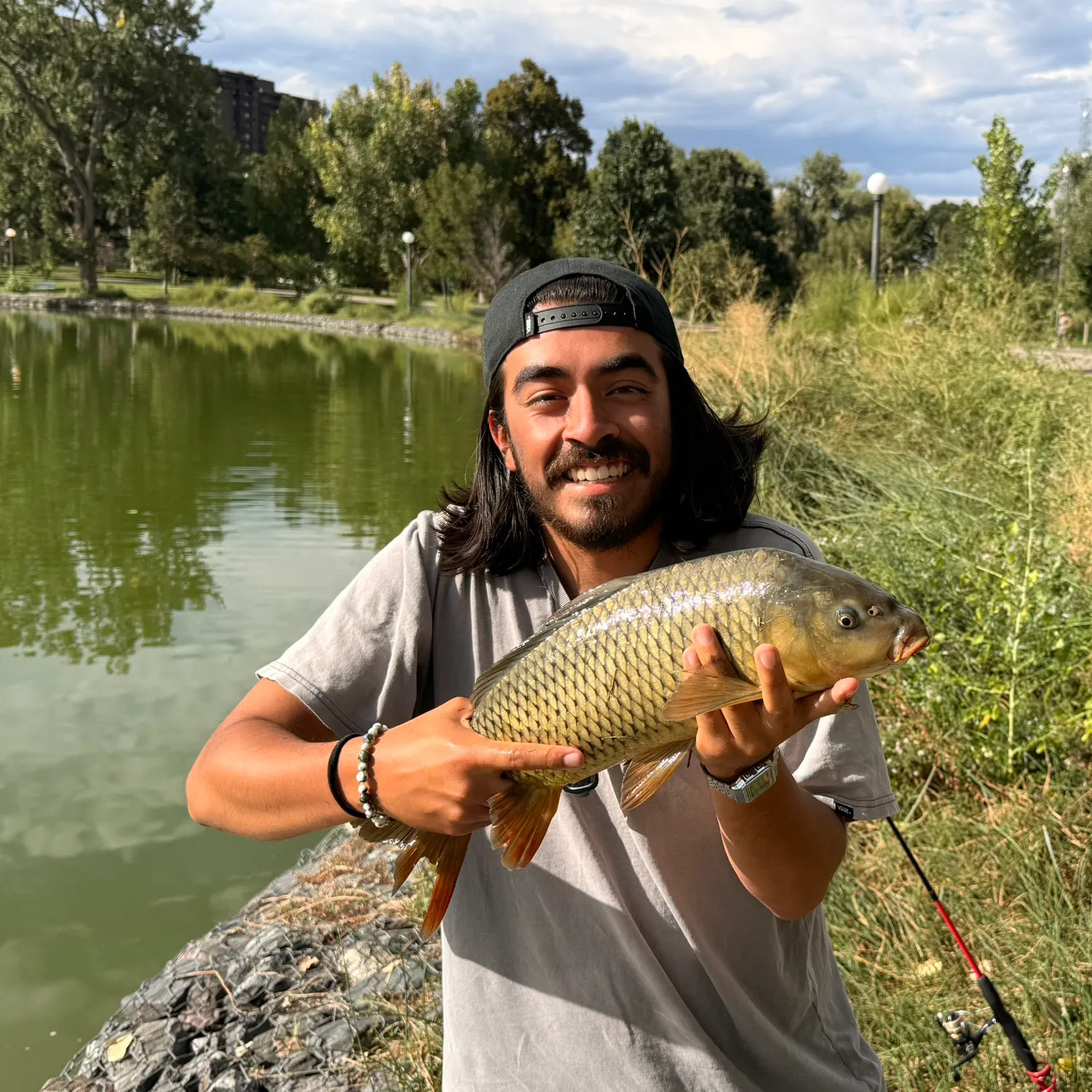 Common carp caught on Fishbrain