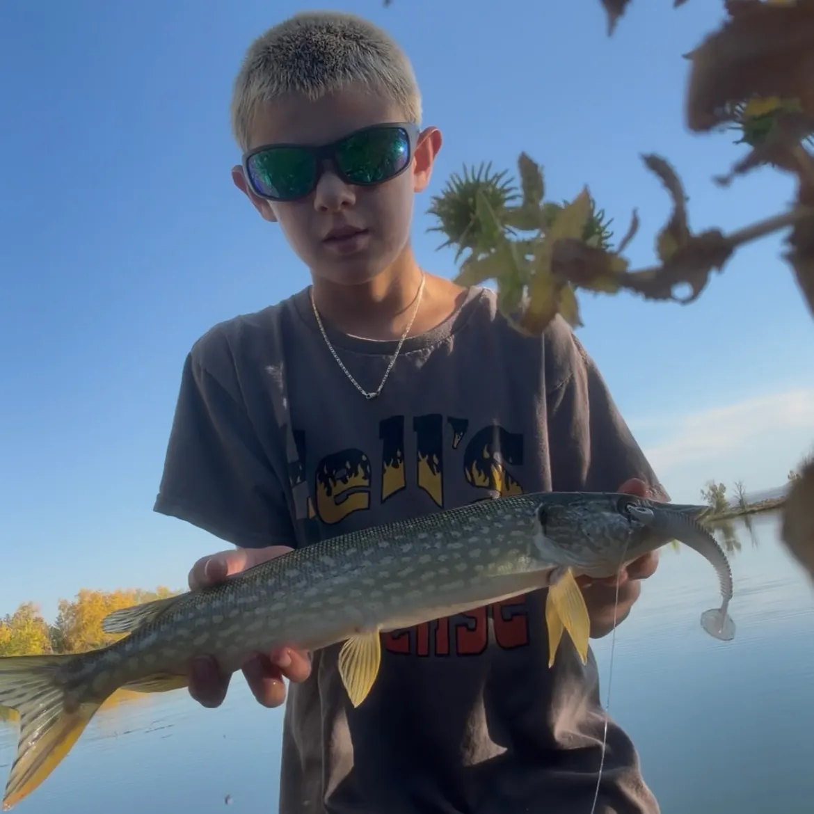 Northern pike caught on Fishbrain