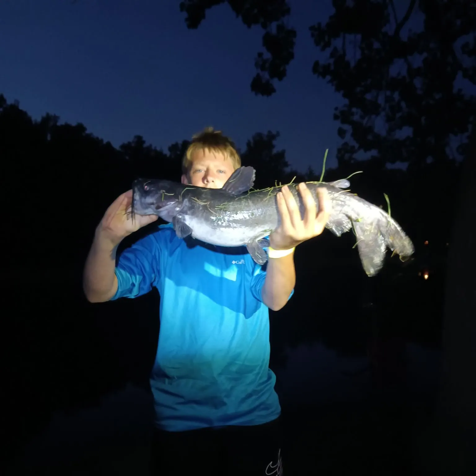 Channel catfish caught on Fishbrain