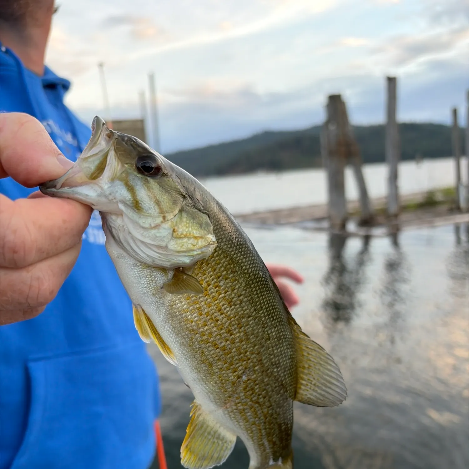 Smallmouth bass caught on Fishbrain