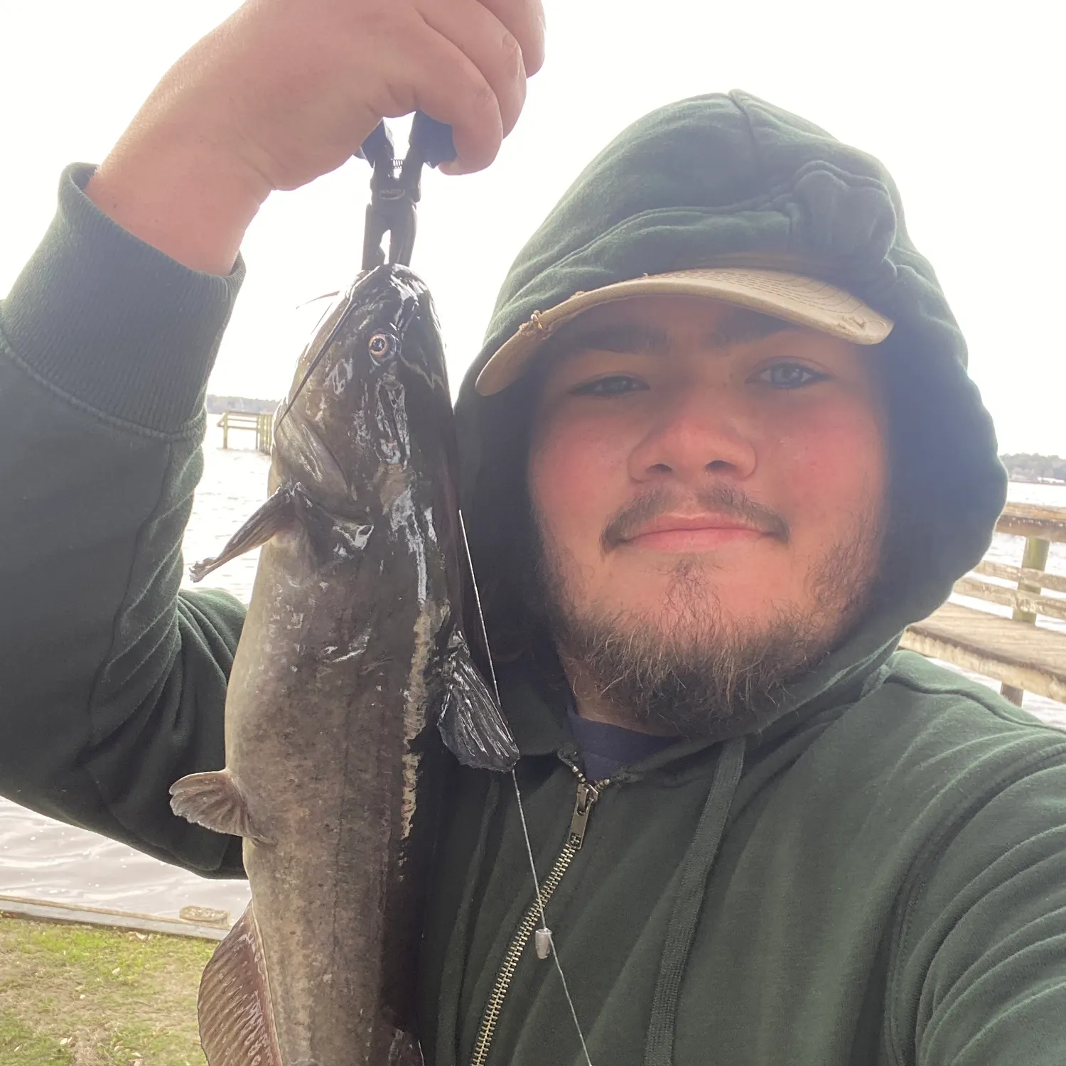 The most recent White bullhead catches on Fishbrain