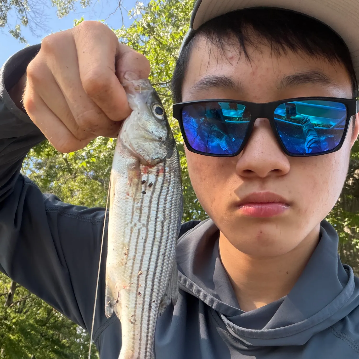 Striped bass caught on Fishbrain