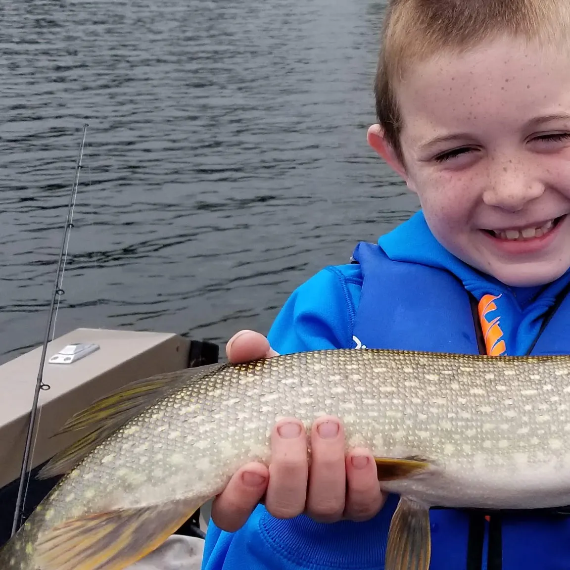 Northern pike caught on Fishbrain
